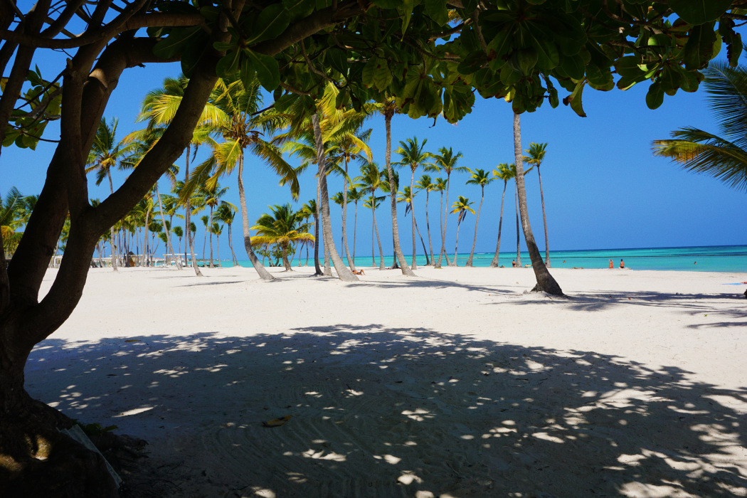 Travel Tips For Punta Cana – Everything You Need To Know